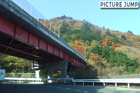 箱根新道の高架下。旧東海道から眺める紅葉