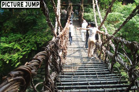 日本三奇橋のひとつ、かずら橋は原始的な吊り橋
