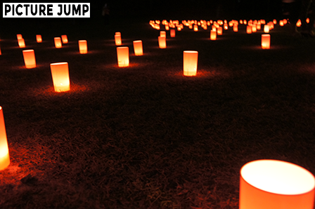 なら燈花会 奈良公園一面に敷かれた蝋燭が灯す光の絨毯