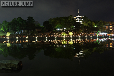 なら燈花会。猿沢池の水面に浮かぶ興福寺五重の塔
