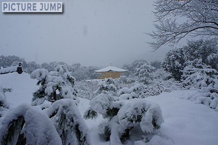 金閣寺の雪化粧は年に何回かしか見れない絶景