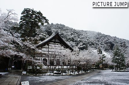 永観堂禅林寺は雪景色も見物