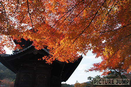 南禅寺 三門を北側から紅葉撮影