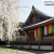 世界遺産 京都・醍醐寺。五重塔があるのは“伽藍エリア”。金堂と枝垂れ桜と一緒に桜巡り