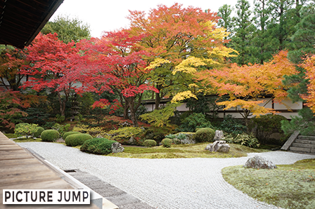御寺 泉涌寺の紅葉は特別拝観・御座所の縁側から眺める庭園が絶景