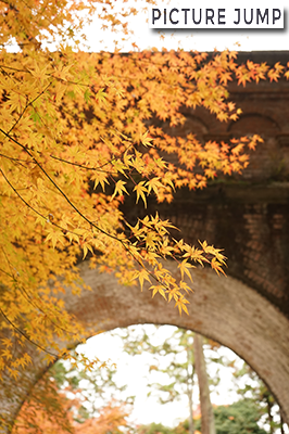 南禅寺の水路閣の風情ある水路橋は紅葉の名所