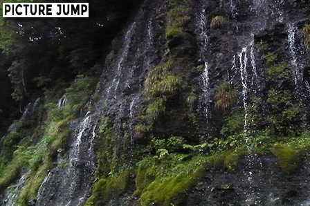 白糸の滝はまさしく連続した白い糸の連なり。滝幅200mにも及ぶ富士山の雪解け水が溶岩壁から湧き出す滝